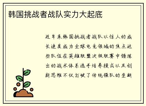 韩国挑战者战队实力大起底
