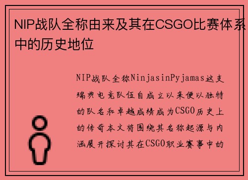 NIP战队全称由来及其在CSGO比赛体系中的历史地位