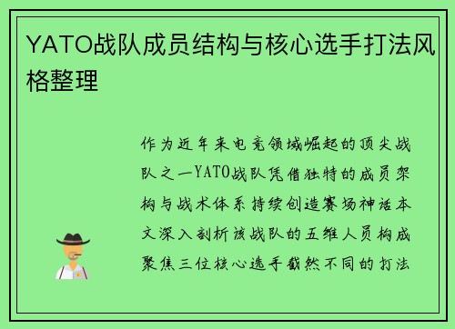 YATO战队成员结构与核心选手打法风格整理